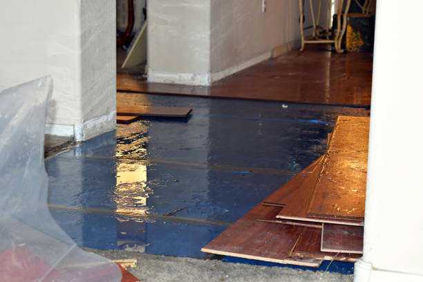 Professional Basement Flood Cleanup technician working in Georges Mills, NH